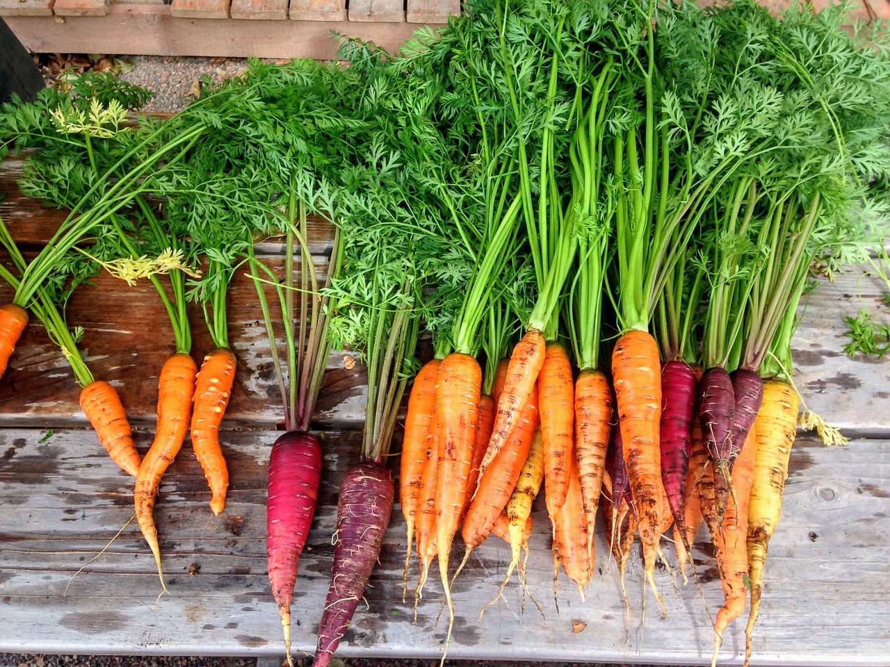 Farm-to-Table: Frequently Asked Questions - GreenTourism