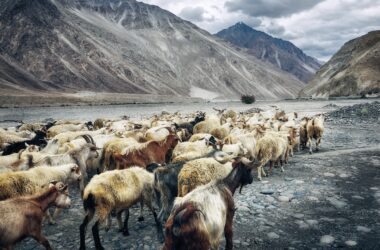 Ladakh Sustainable Tourism