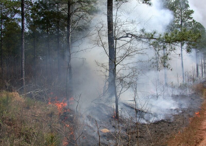 Controlled Burns
