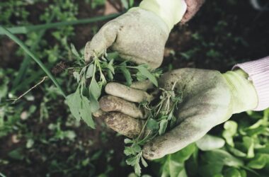 What Gardening Does to Your Body