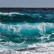 Environmental Impact of Ocean Noise