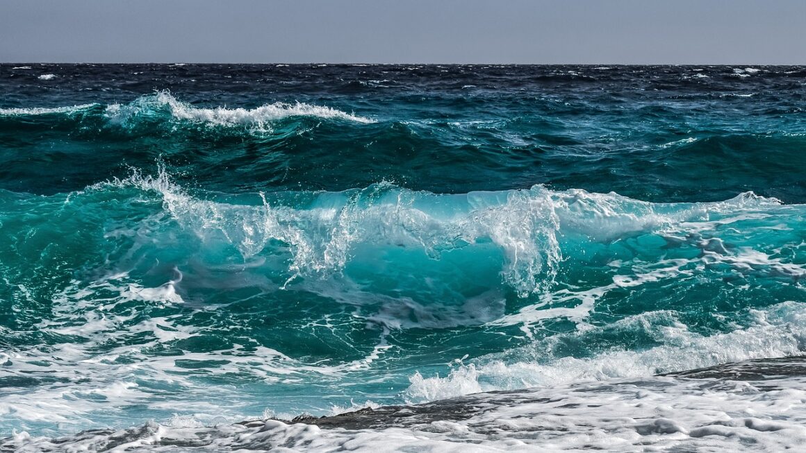 Environmental impact of ocean noise how noise pollution affects marine